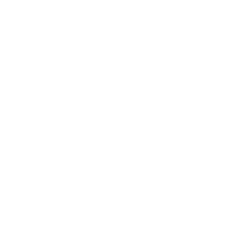 bfmc